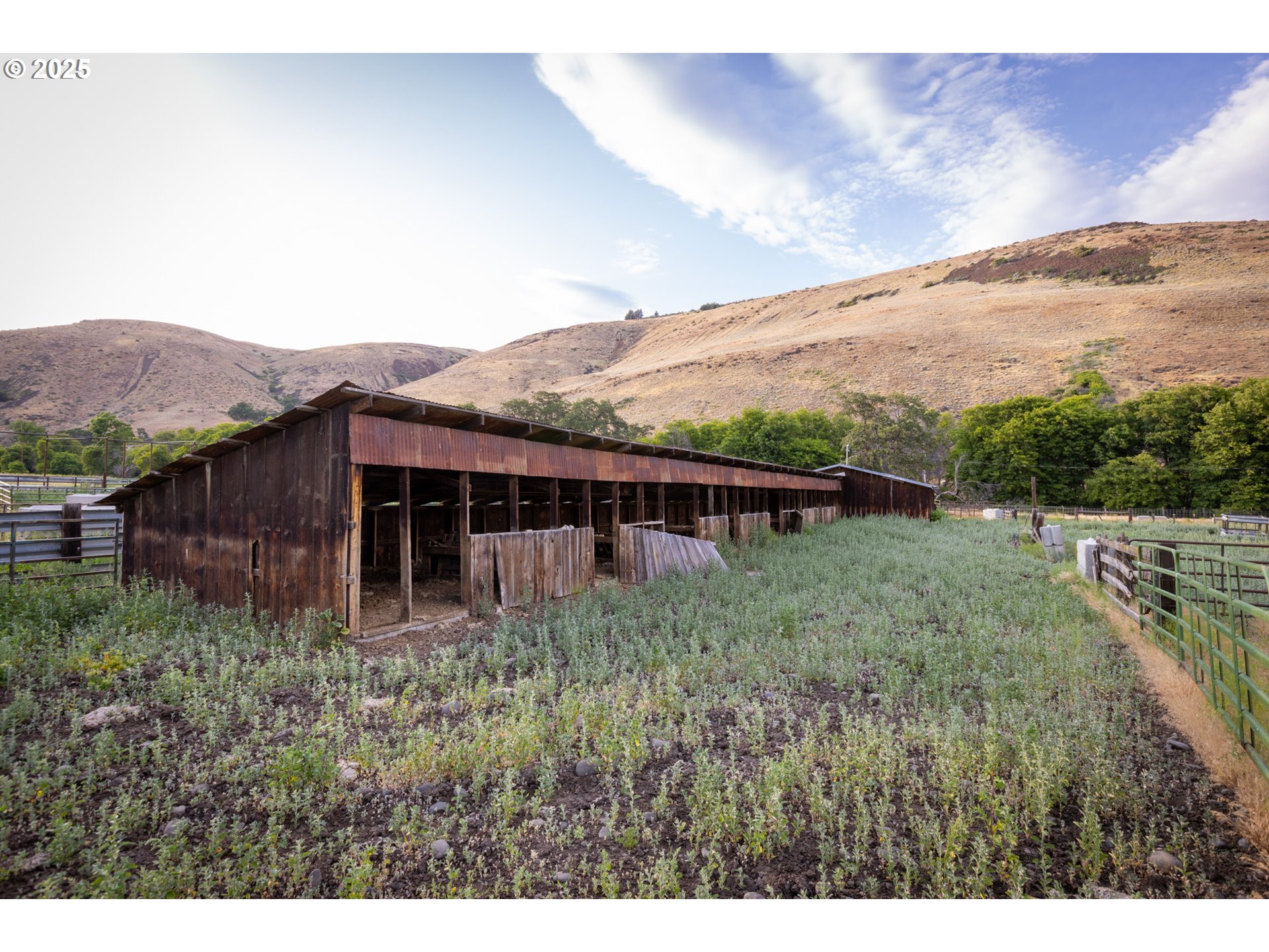 1056 Rock Creek Road Roosevelt, WA 99356 - Photo 47 of 48
