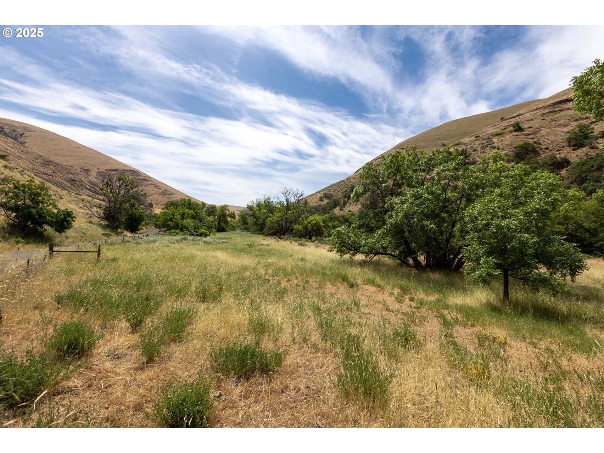 1056 Rock Creek Road Roosevelt, WA 99356 - Photo 10 of 48