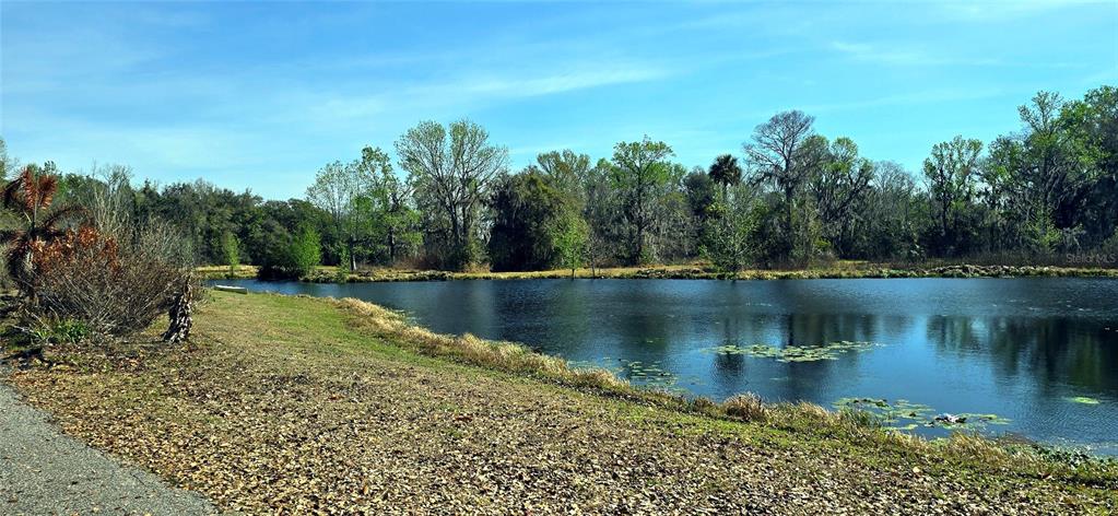 14820 County Road 48 Astatula, FL 34705 - Photo 12 of 12 a view of lake