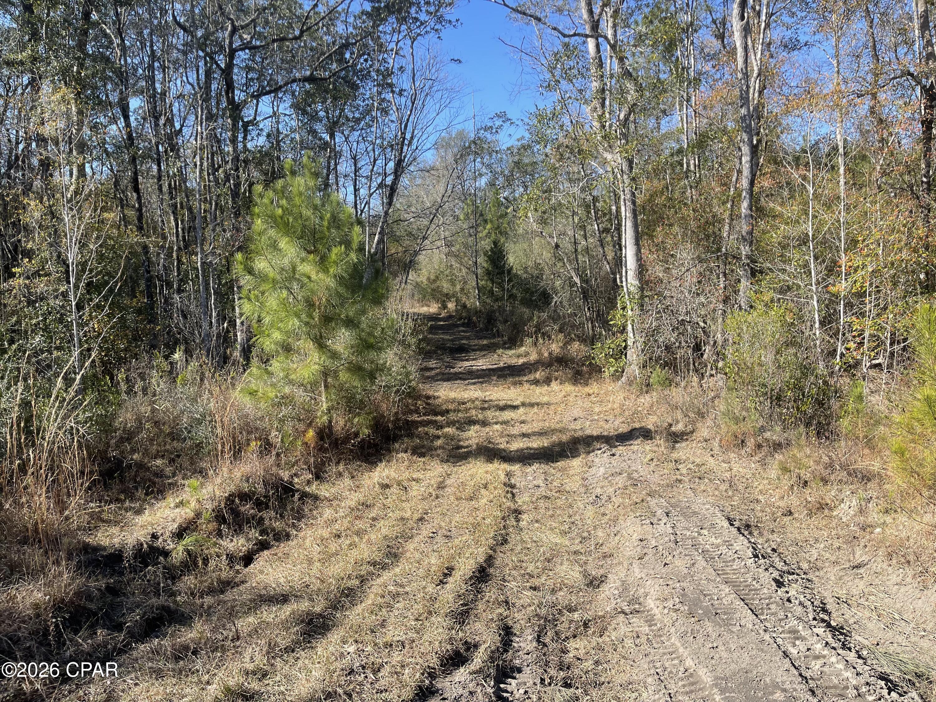 0 Arrant Road Westville, FL 32464 - Photo 22 of 28