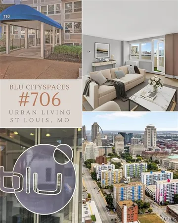 $60,000 | 210 North 17th Street, Unit 706, St. Louis, MO 63103