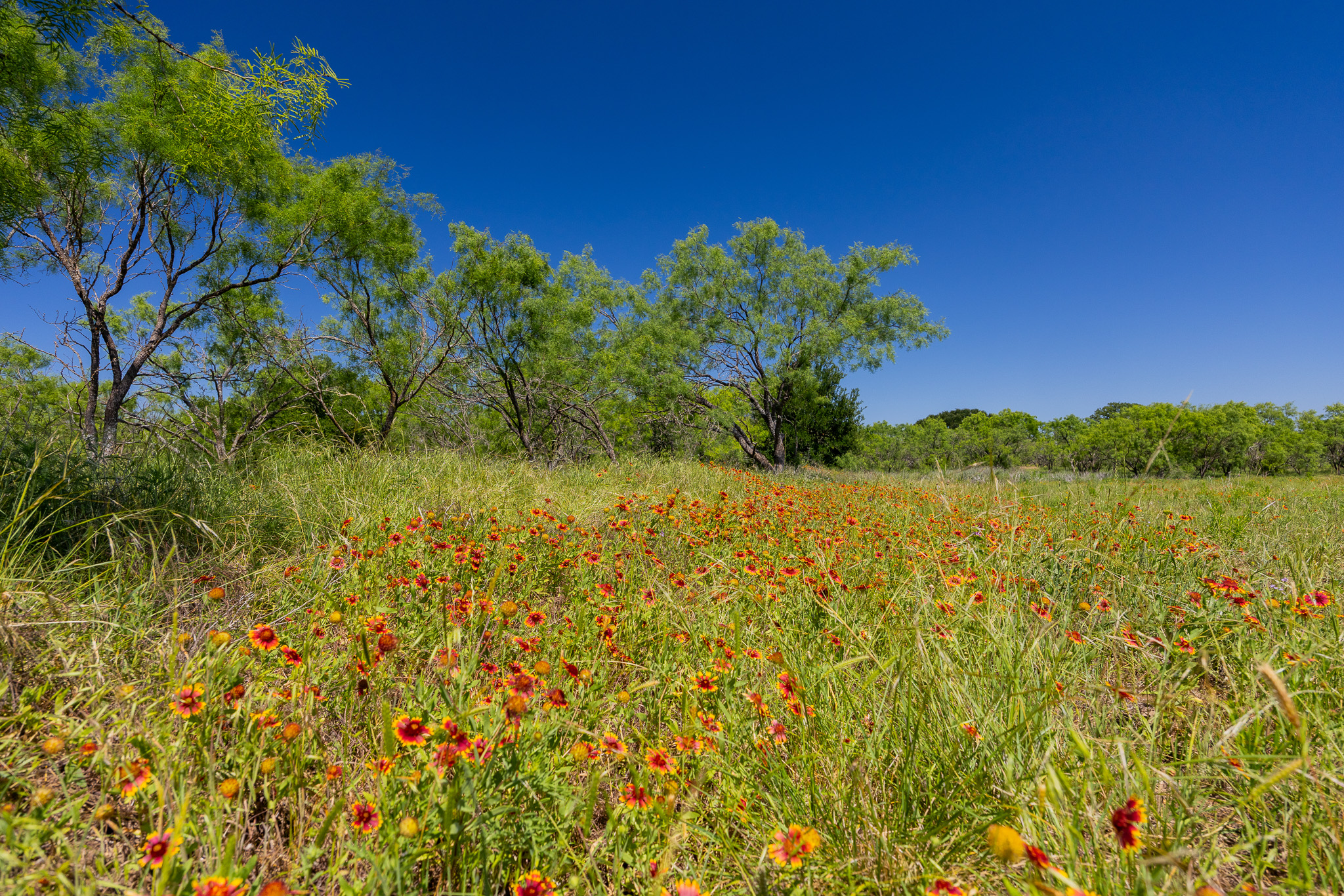 180 Rd Purmela Tx 76566 Road Purmela, TX 76566 - Photo 24 of 32 Gallery Image 24