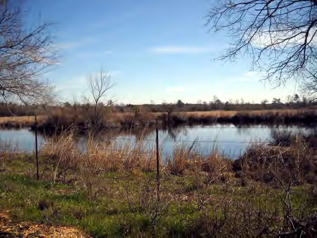 Kennedy Road Tylertown, MS 39667 - Photo 1 of 1 Main View