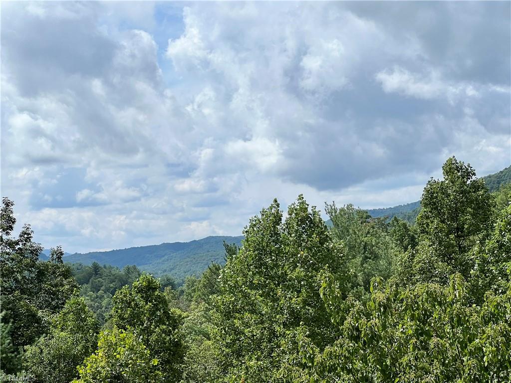 3708 Mt Zion Road Ferguson, NC 28624 - Photo 3 of 50