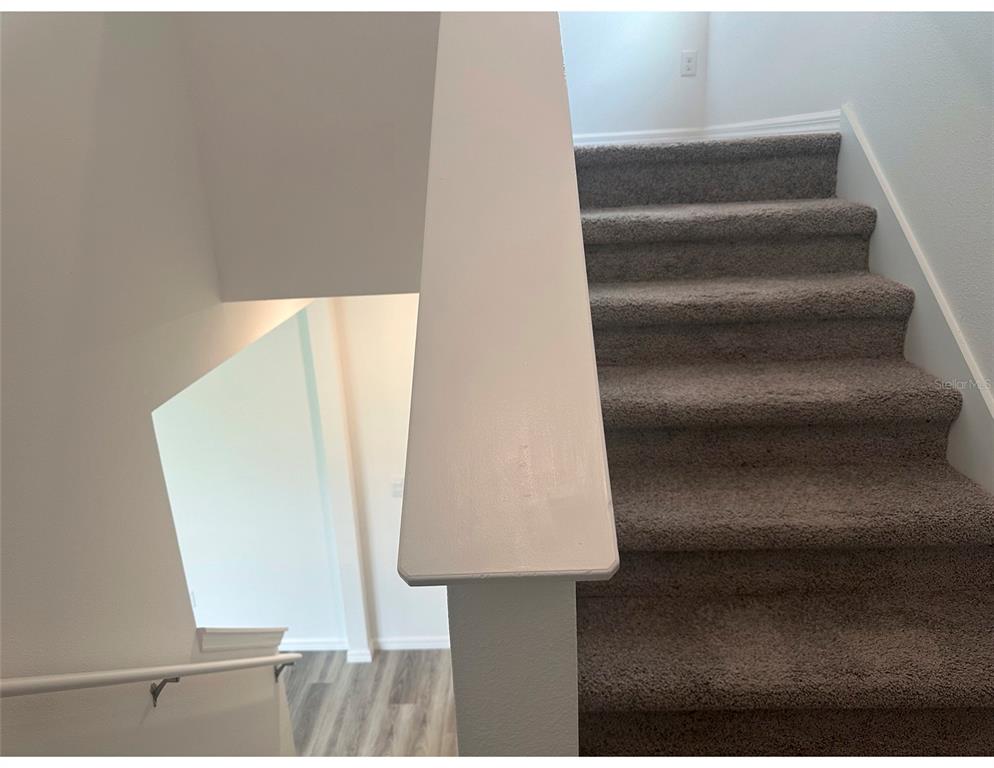 10588 Farm Hl Avenue Land O Lakes, FL 34638 - Photo 11 of 27