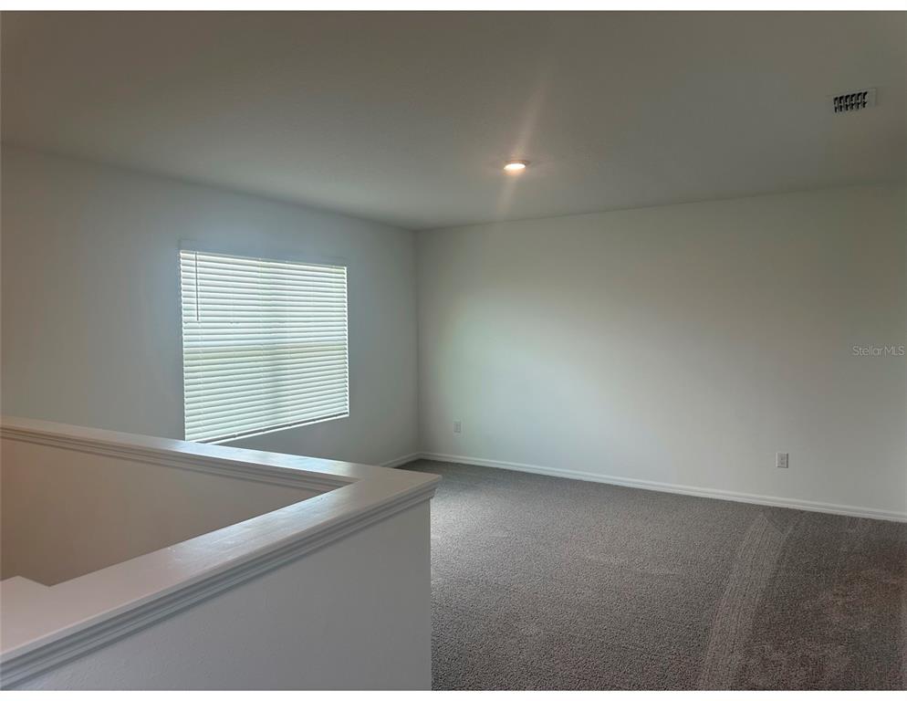 10588 Farm Hl Avenue Land O Lakes, FL 34638 - Photo 12 of 27