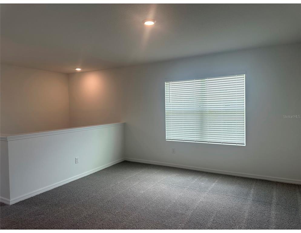 10588 Farm Hl Avenue Land O Lakes, FL 34638 - Photo 13 of 27