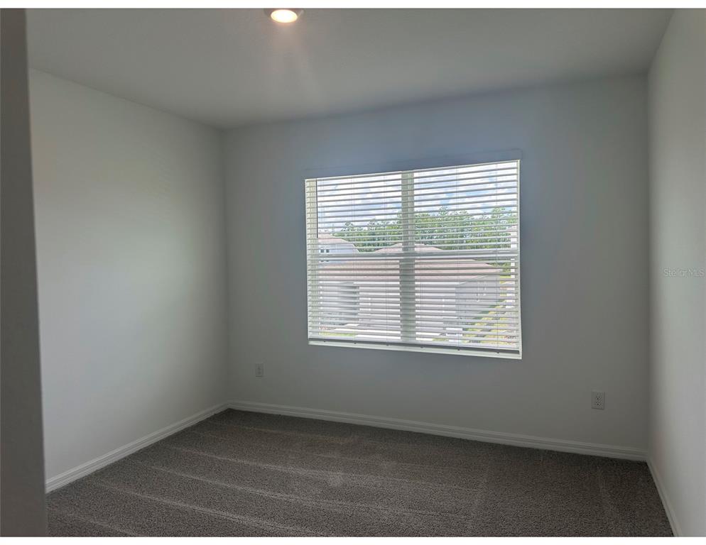 10588 Farm Hl Avenue Land O Lakes, FL 34638 - Photo 20 of 27