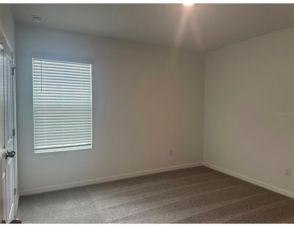 10588 Farm Hl Avenue Land O Lakes, FL 34638 - Photo 22 of 27