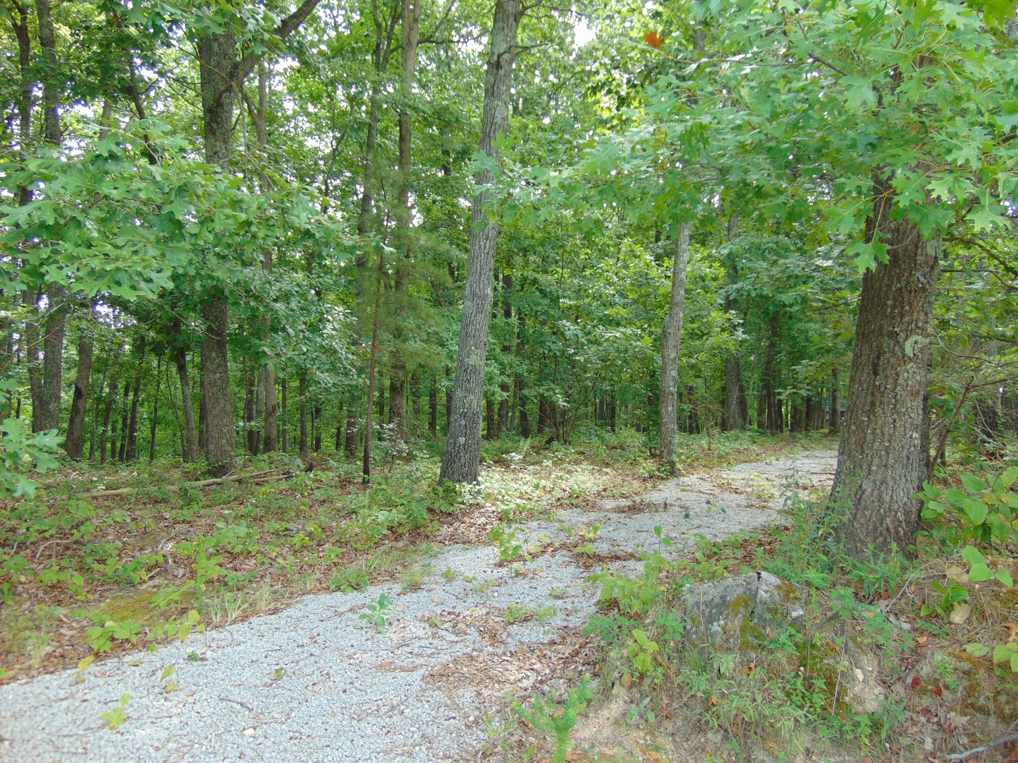 436 Walker Road Summertown, TN 38483 - Photo 1 of 8 Gallery Image 1