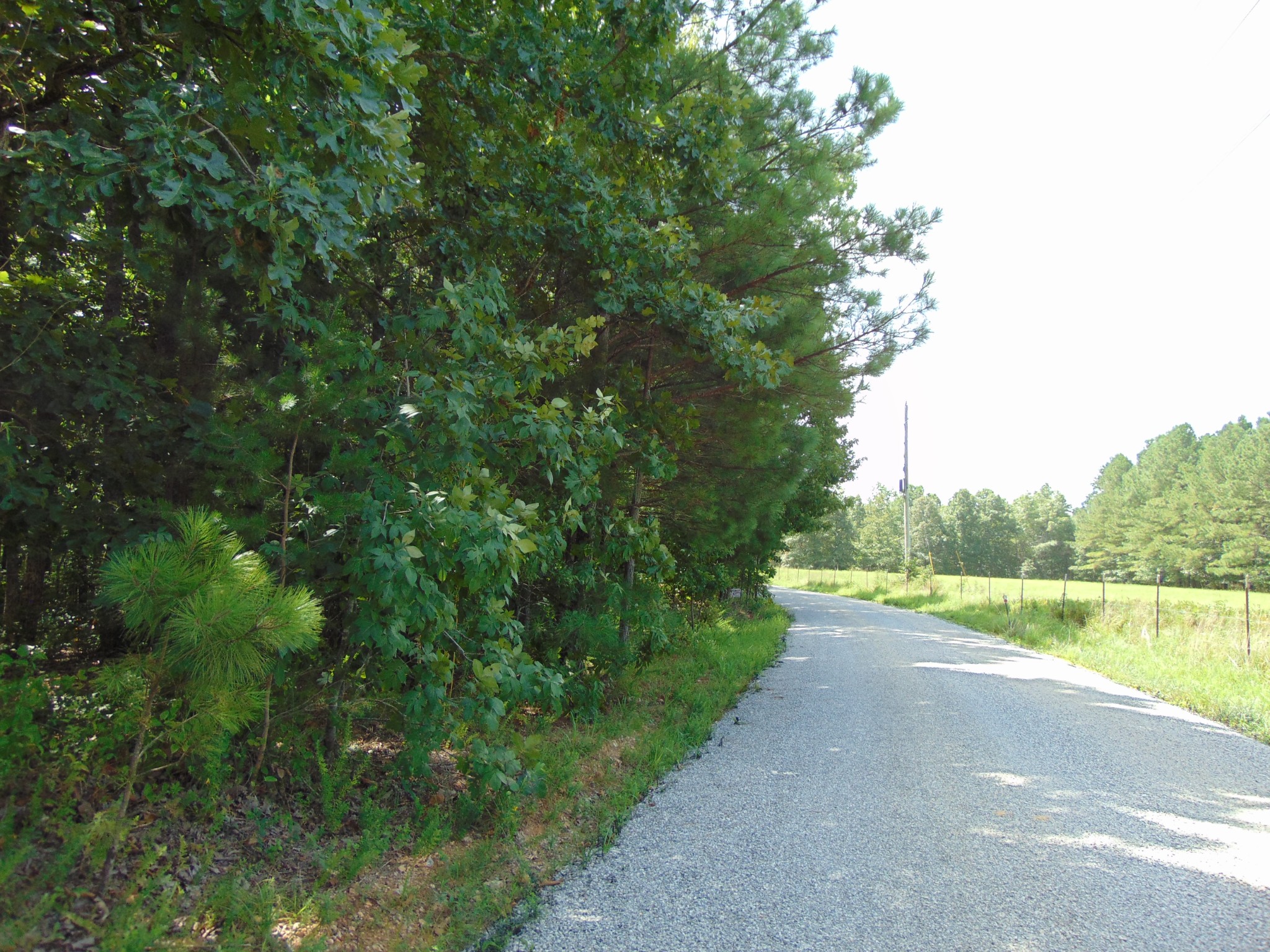436 Walker Road Summertown, TN 38483 - Photo 6 of 8 Gallery Image 6