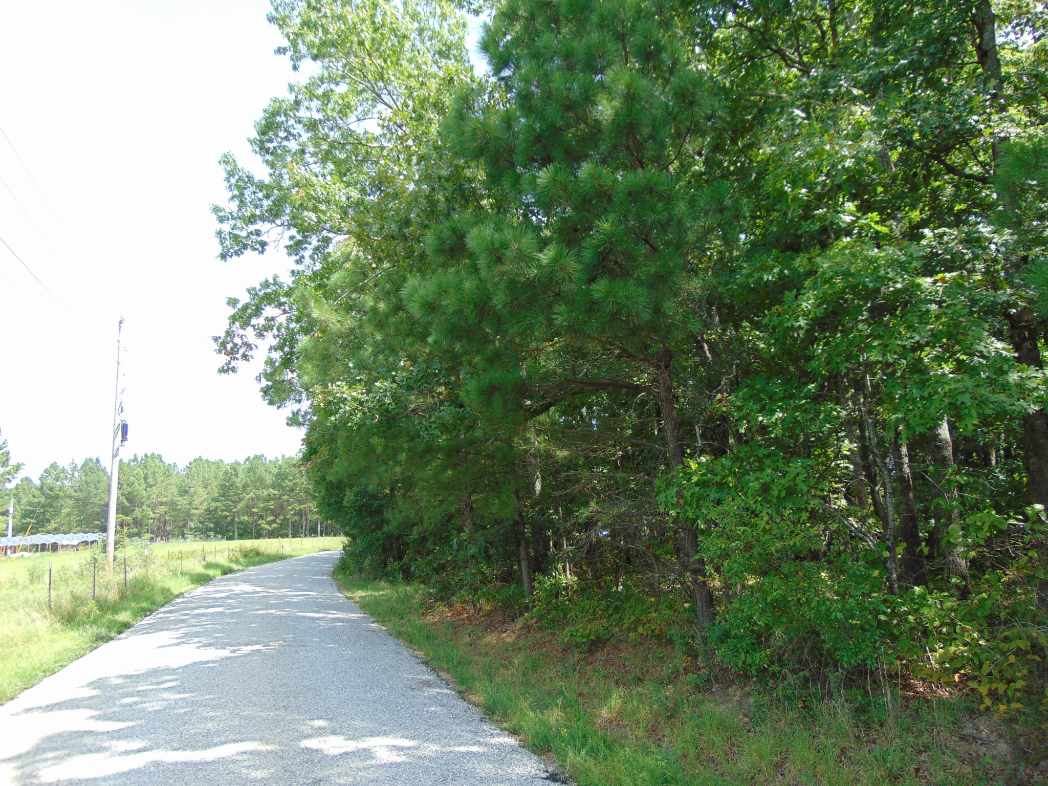 436 Walker Road Summertown, TN 38483 - Photo 7 of 8 Gallery Image 7