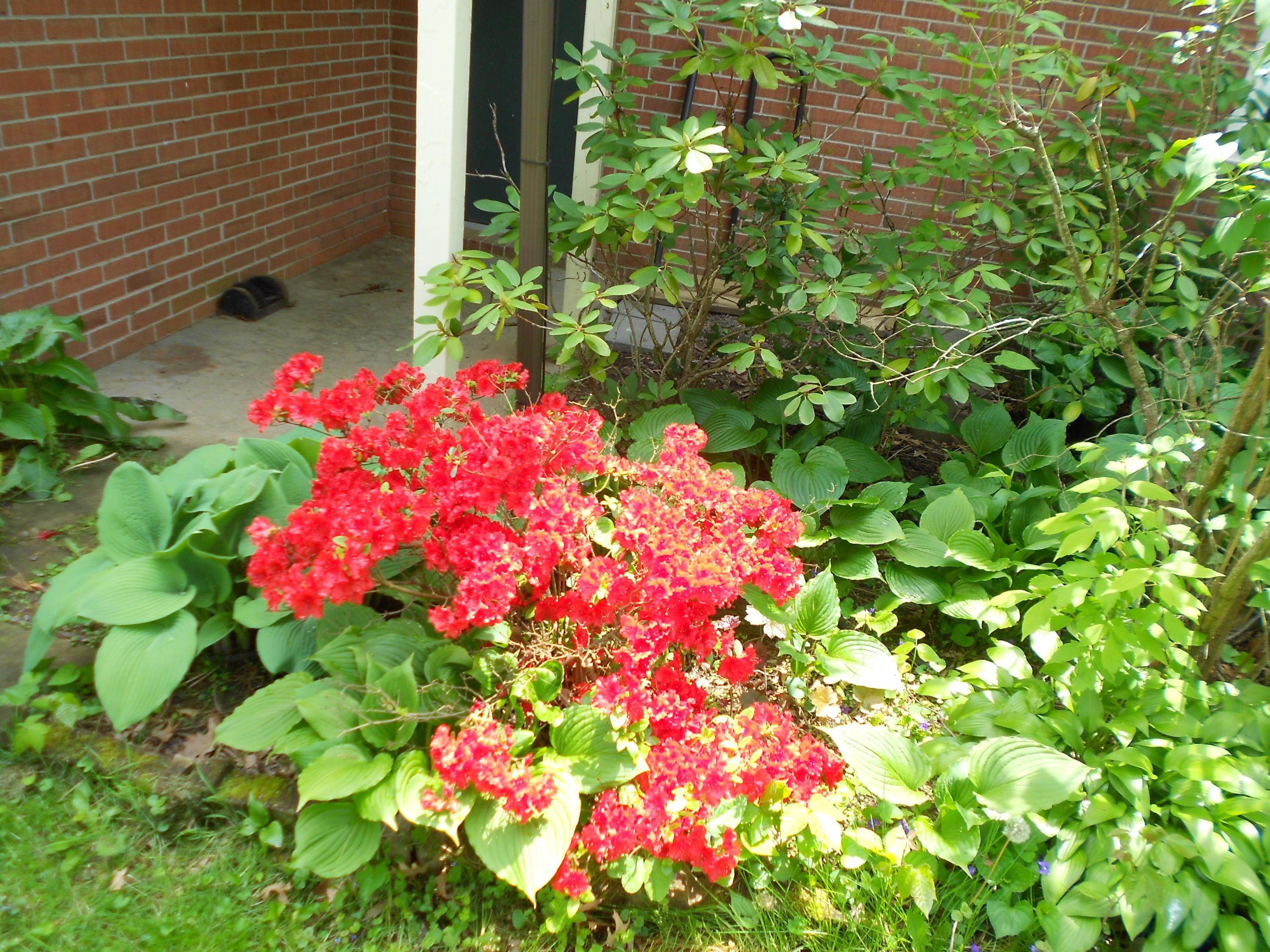 800 Crawford Road Newark, OH 43055 - Photo 34 of 40 Gallery Image 34