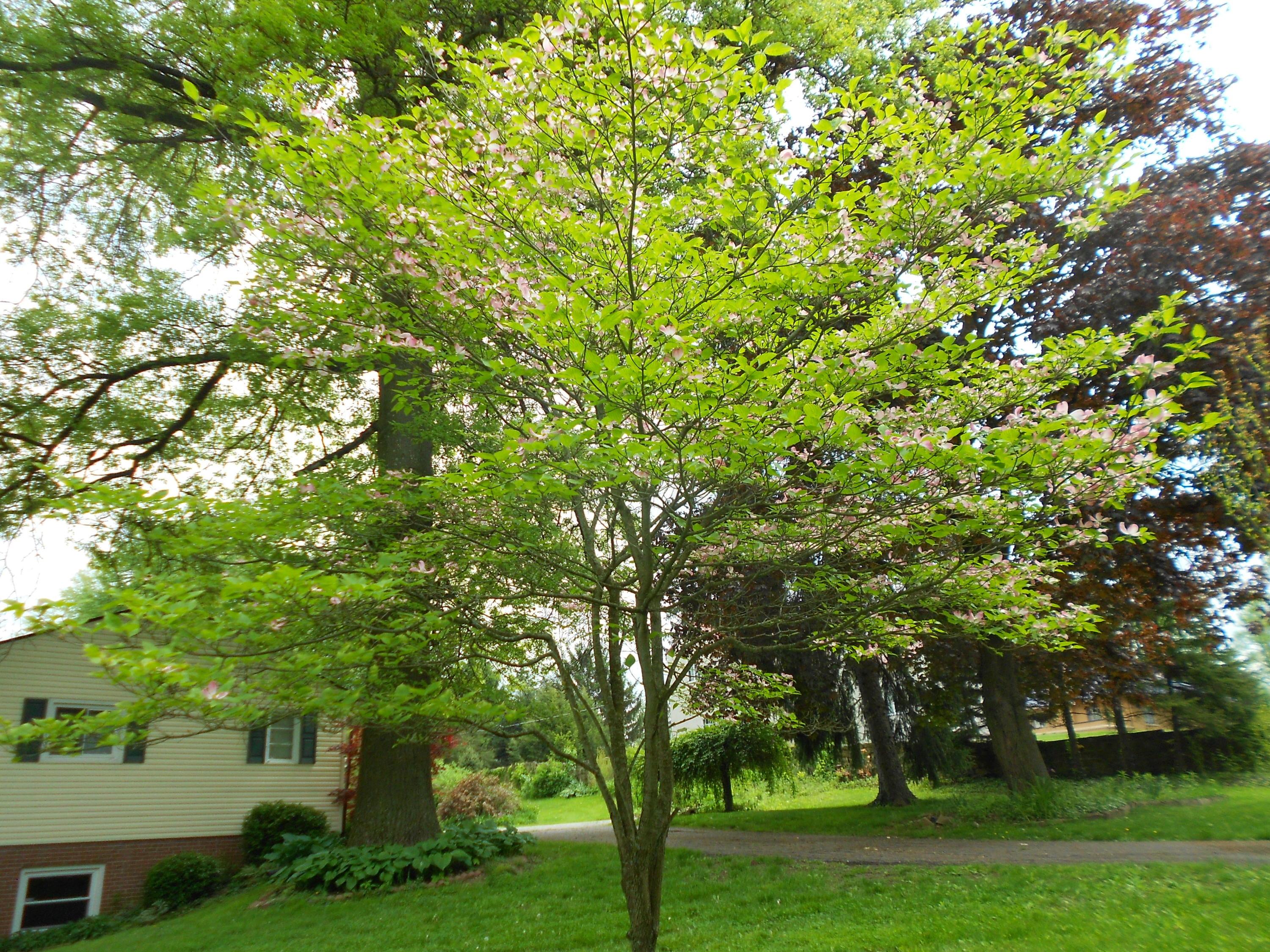 800 Crawford Road Newark, OH 43055 - Photo 39 of 40 Gallery Image 39