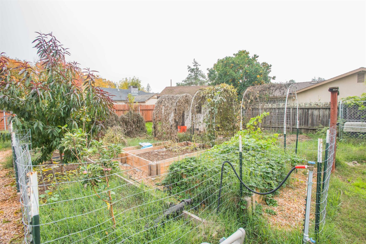 9695 Kent Street Elk Grove, CA 95624 - Photo 66 of 74