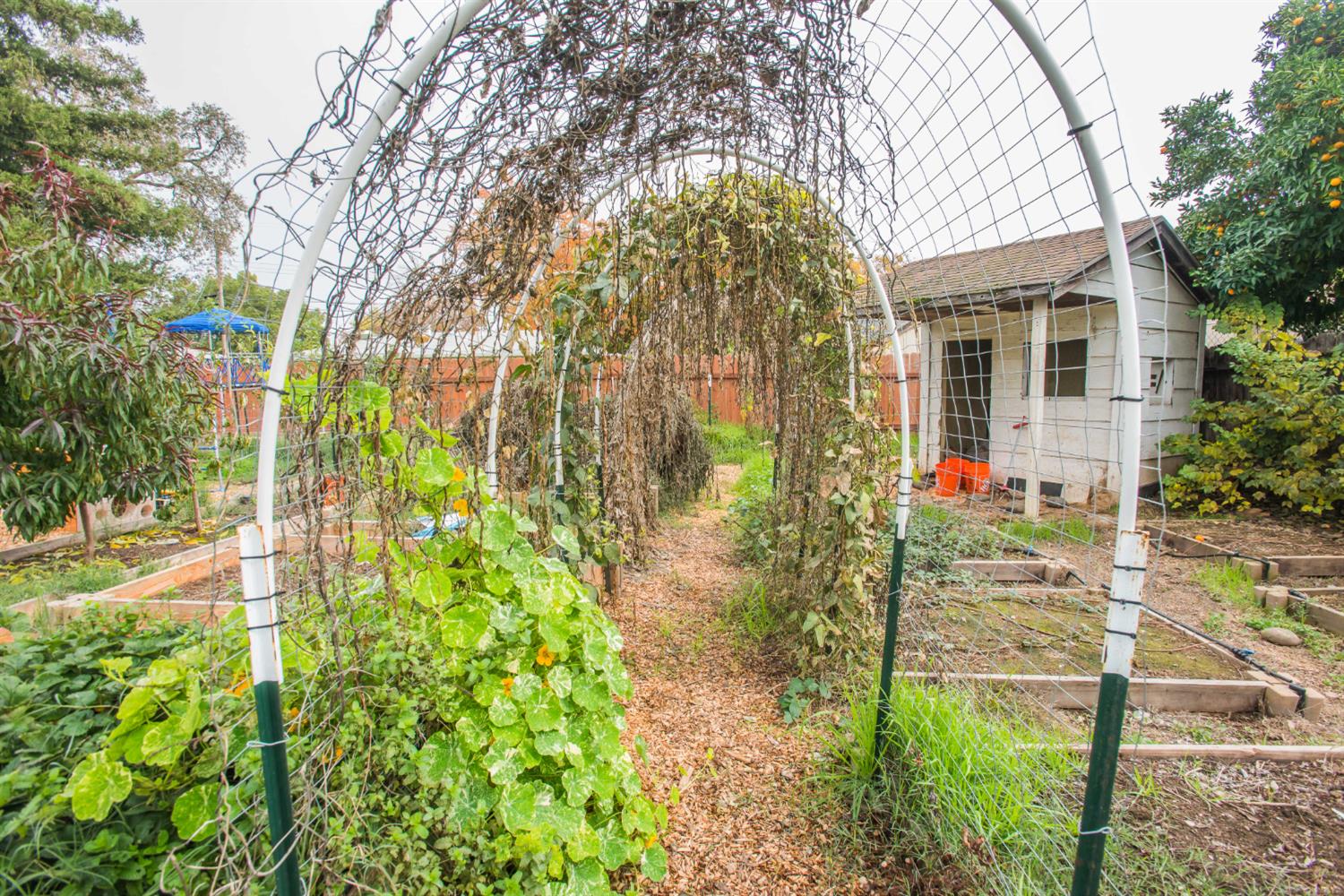 9695 Kent Street Elk Grove, CA 95624 - Photo 68 of 74