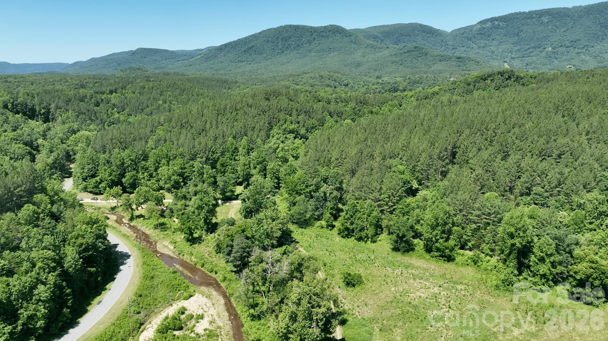 1194 Palmer Road Mill Spring, NC 28756 - Photo 31 of 33
