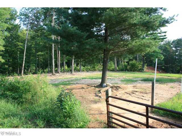 240 Spring Valley Road Stuart, VA 24171 - Photo 5 of 16 Land.