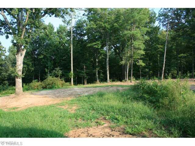 240 Spring Valley Road Stuart, VA 24171 - Photo 6 of 16 Land.