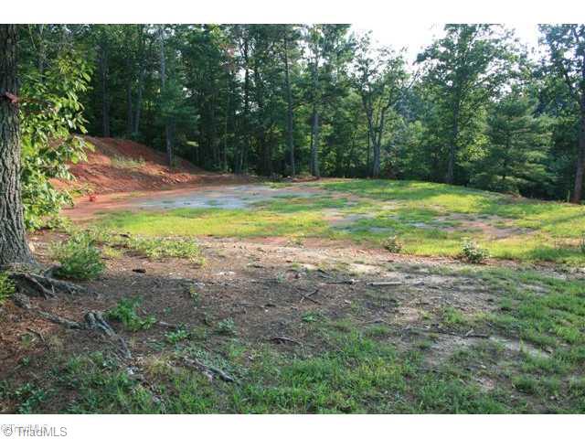 240 Spring Valley Road Stuart, VA 24171 - Photo 7 of 16 Land.