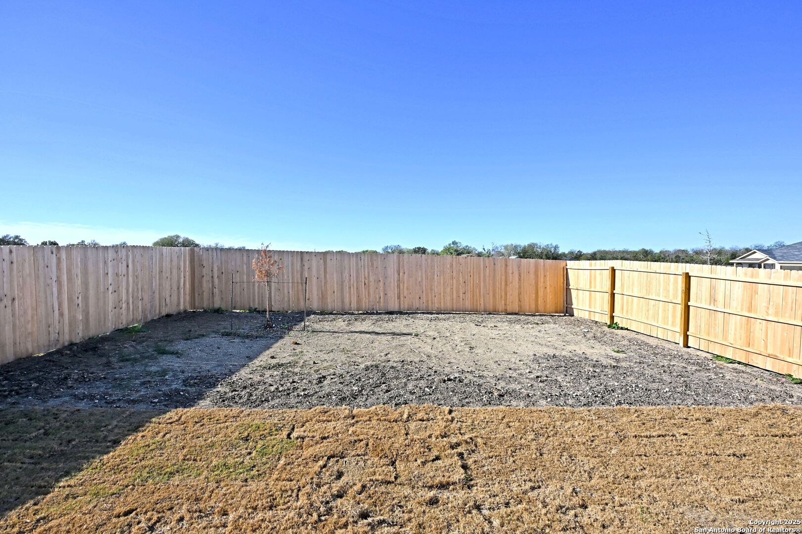 3837 Low Tide Seguin, TX 78155 - Photo 17 of 20 a view of a backyard