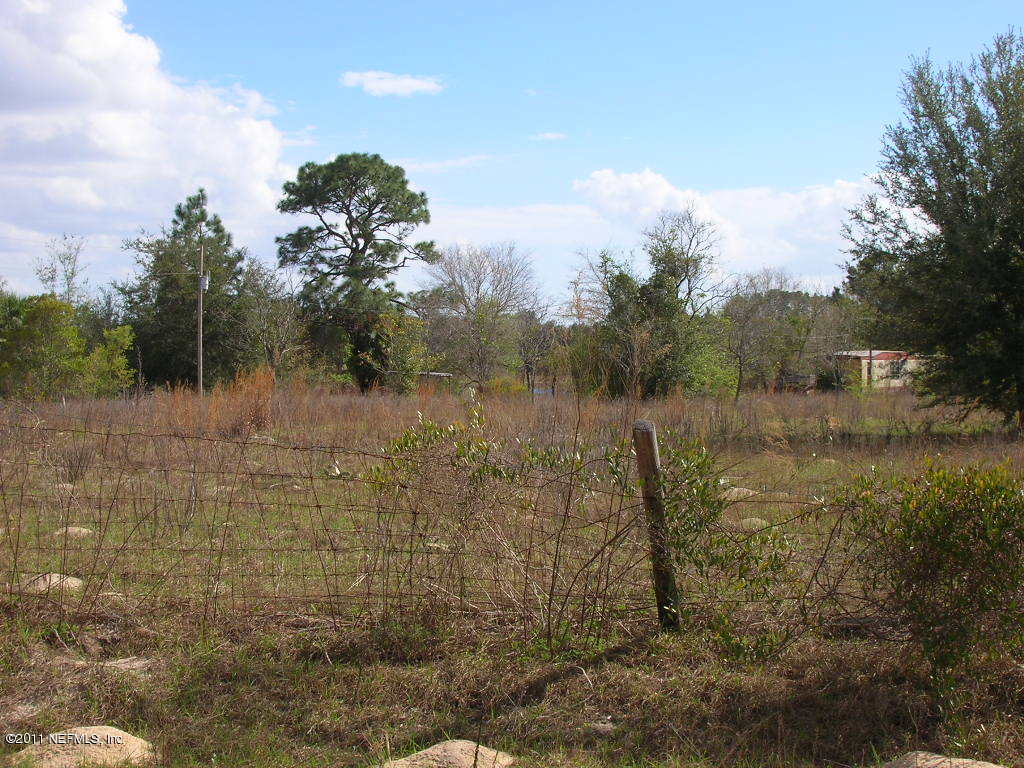 137 Penny Acres Road Welaka, FL 32112 - Photo 12 of 12 view from road