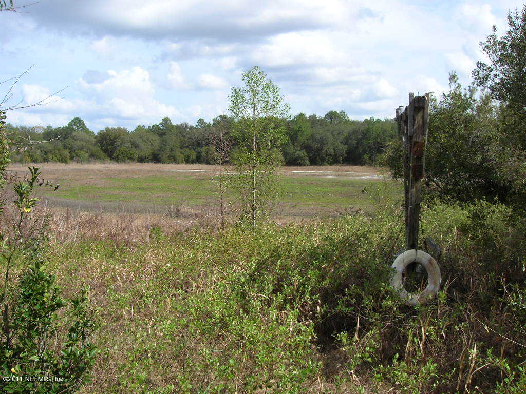 137 Penny Acres Road Welaka, FL 32112 - Photo 4 of 12 lake bed