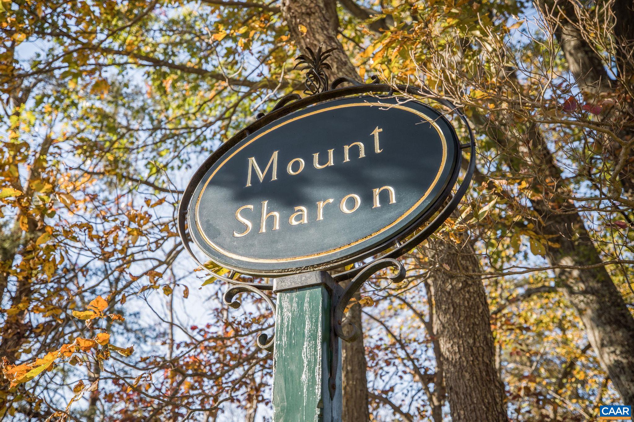 19184 Mt Sharon Road Rapidan, VA 22733 - Photo 2 of 74