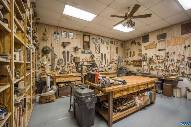 a view of a park with large trees