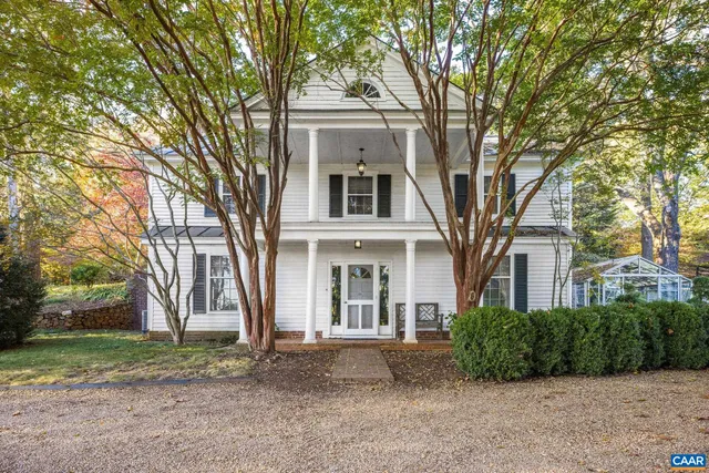 a view of a yard with plants and a large tree