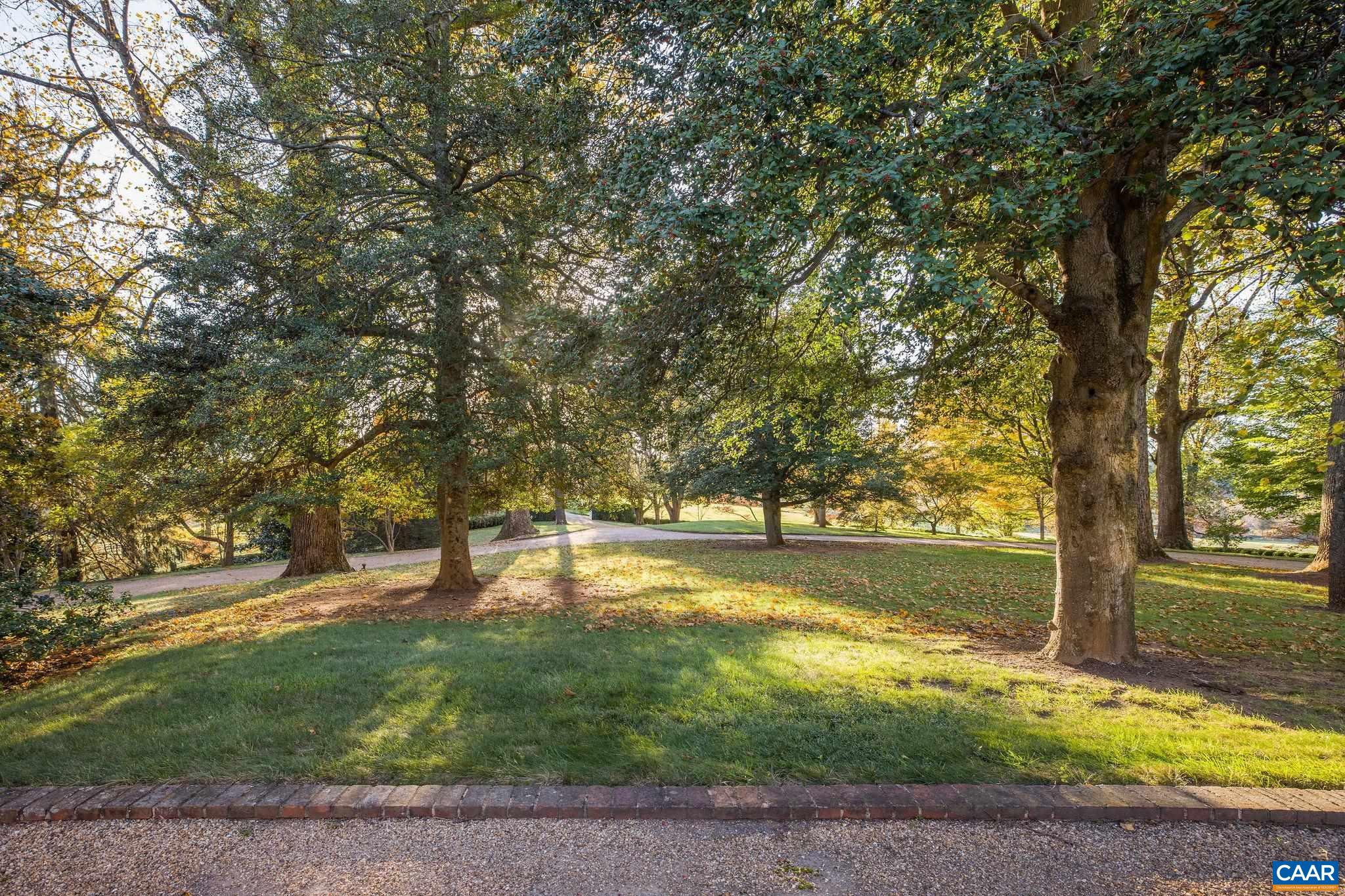 19184 Mt Sharon Road Rapidan, VA 22733 - Photo 5 of 74