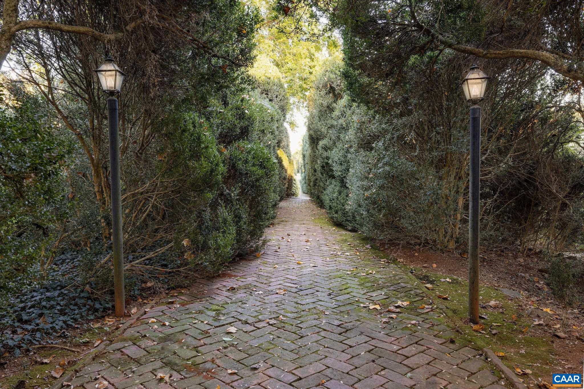 19184 Mt Sharon Road Rapidan, VA 22733 - Photo 51 of 74 a view of a pathway both side of yard