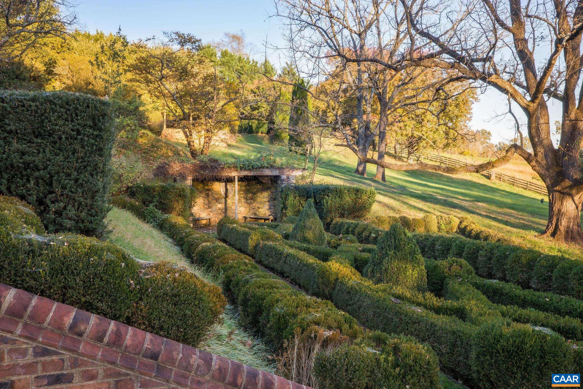 19184 Mt Sharon Road Rapidan, VA 22733 - Photo 57 of 74 a view of a yard with plants and a large tree