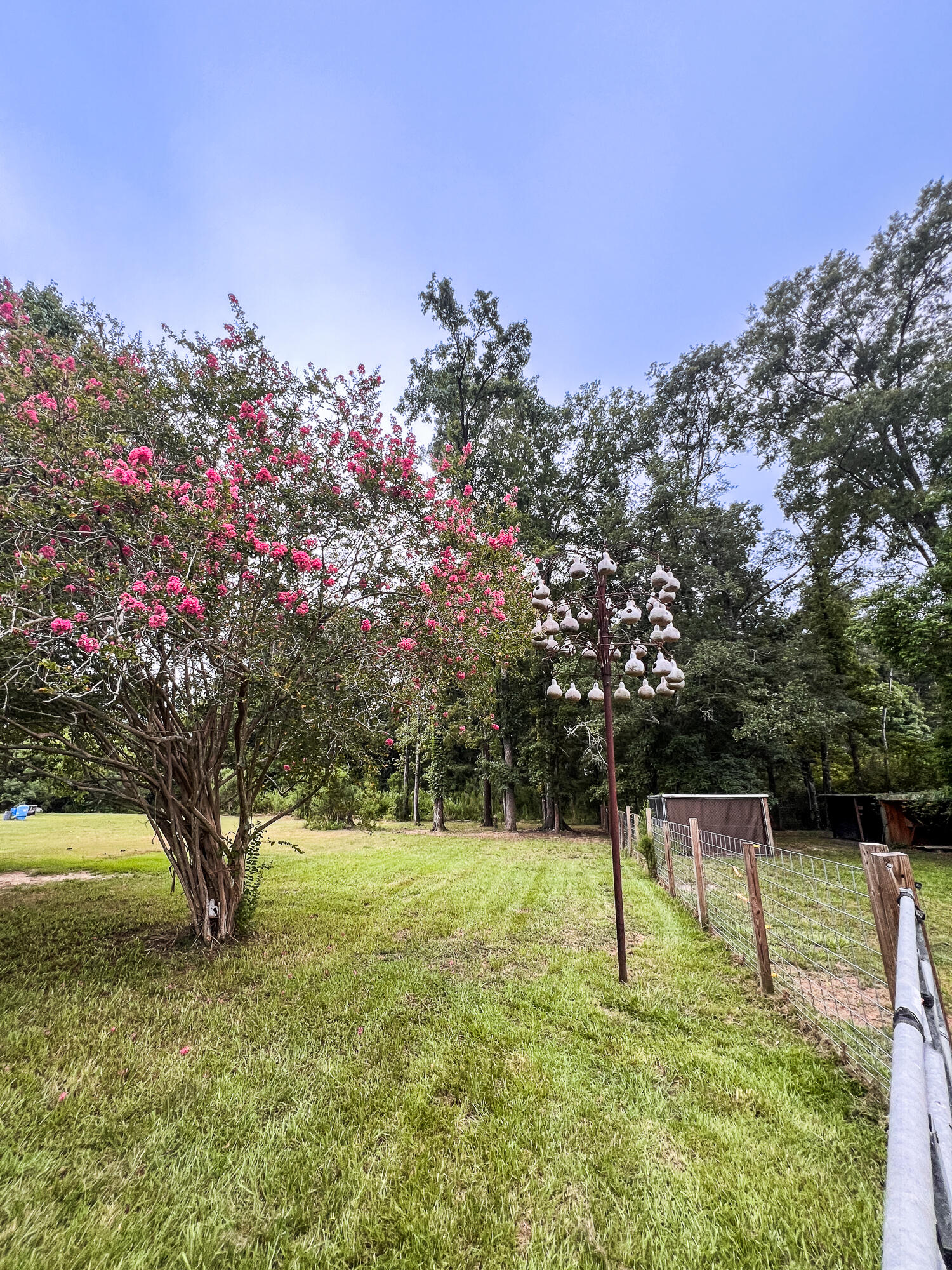 429 West Butternut Road Summerville, SC 29483 - Photo 41 of 51 MSP-123