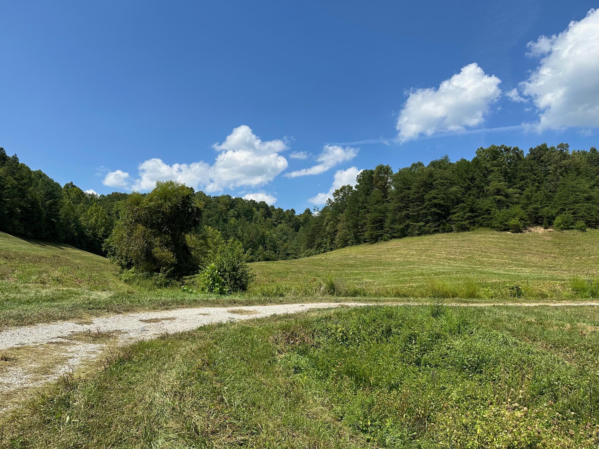 10 Elbert Shepherd Road London, KY 40741 - Photo 35 of 40 IMG_6902
