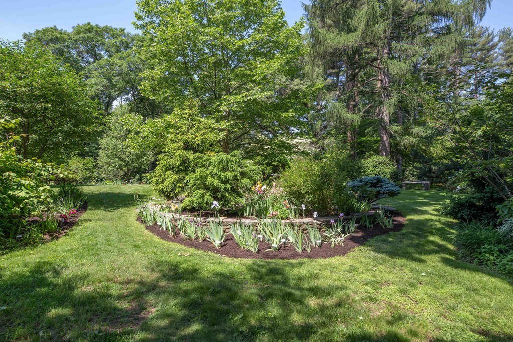 15 Bracebridge Road Newton, MA 02459 - Photo 23 of 30