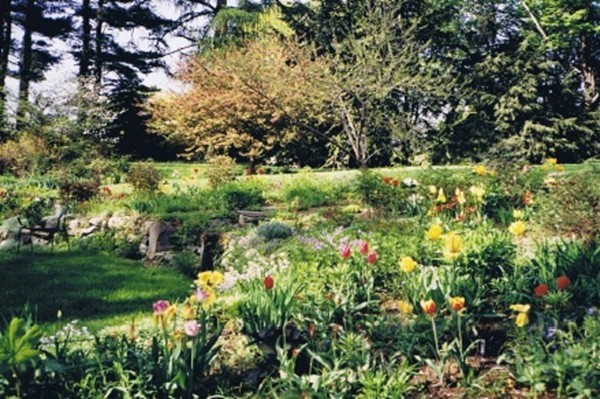 15 Bracebridge Road Newton, MA 02459 - Photo 25 of 30