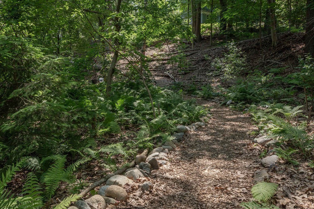 15 Bracebridge Road Newton, MA 02459 - Photo 29 of 30