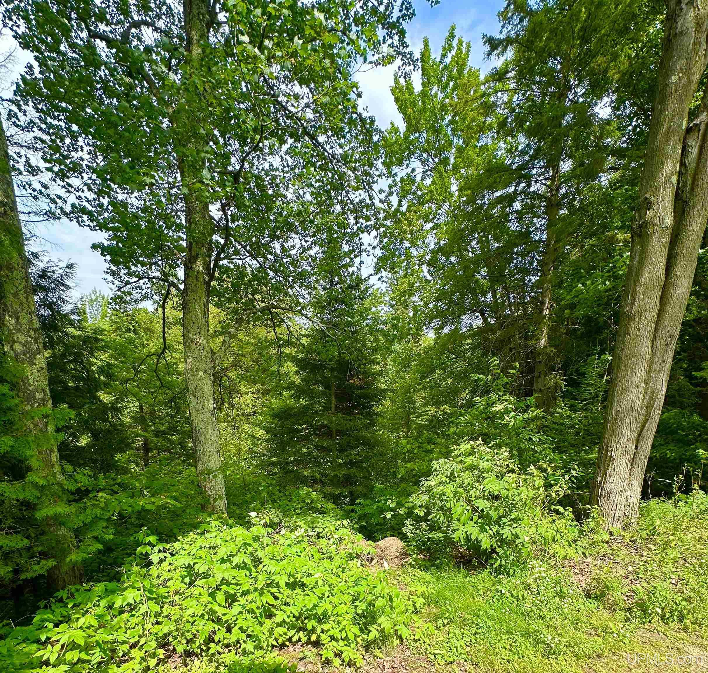 101 Ridge Lane Marquette, MI 49855 - Photo 47 of 54 Gallery Image 47