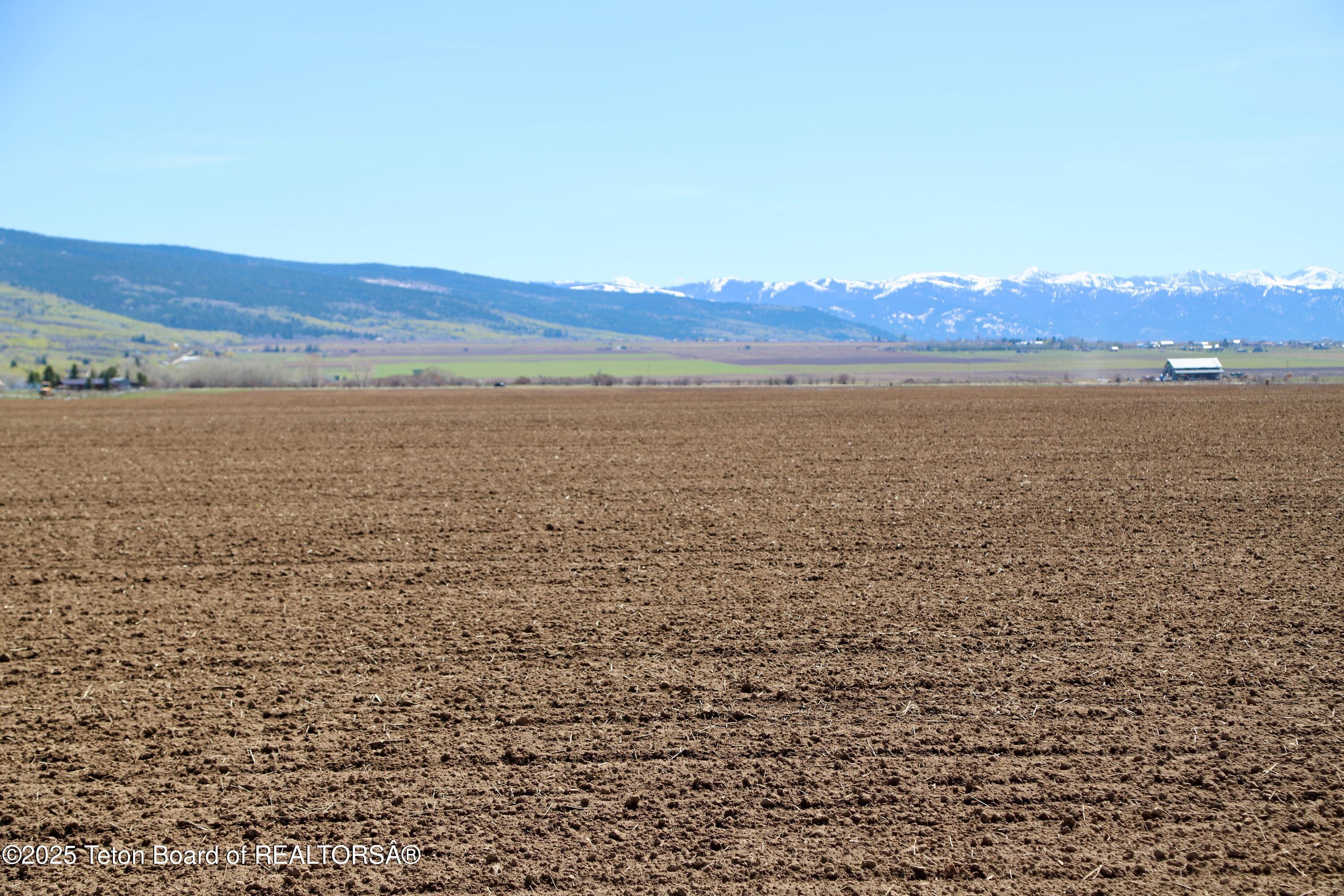 Tbd South Stateline Road Driggs, ID 83422 - Photo 12 of 32 Moss-7140