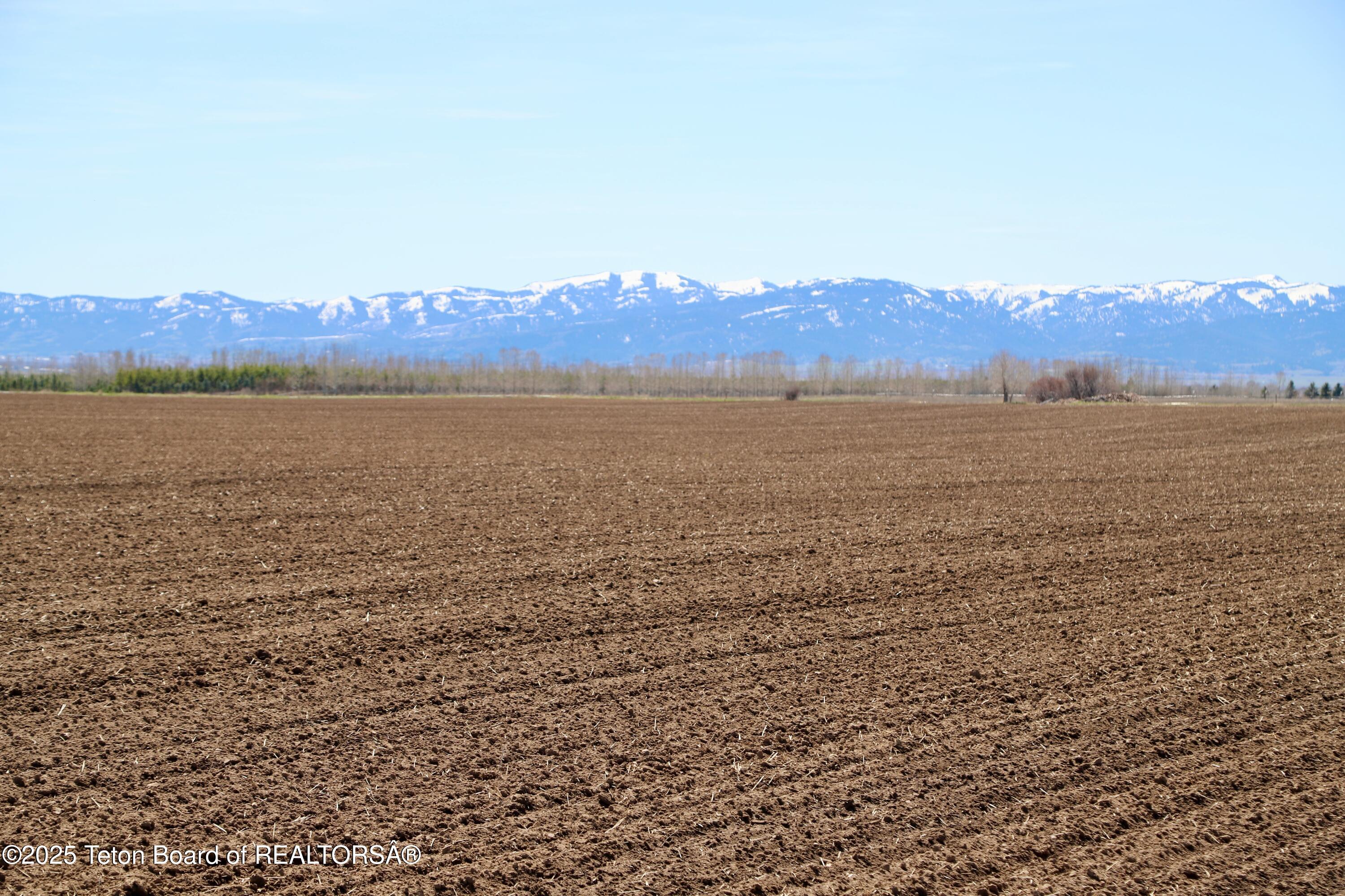 Tbd South Stateline Road Driggs, ID 83422 - Photo 14 of 32 Moss-7144