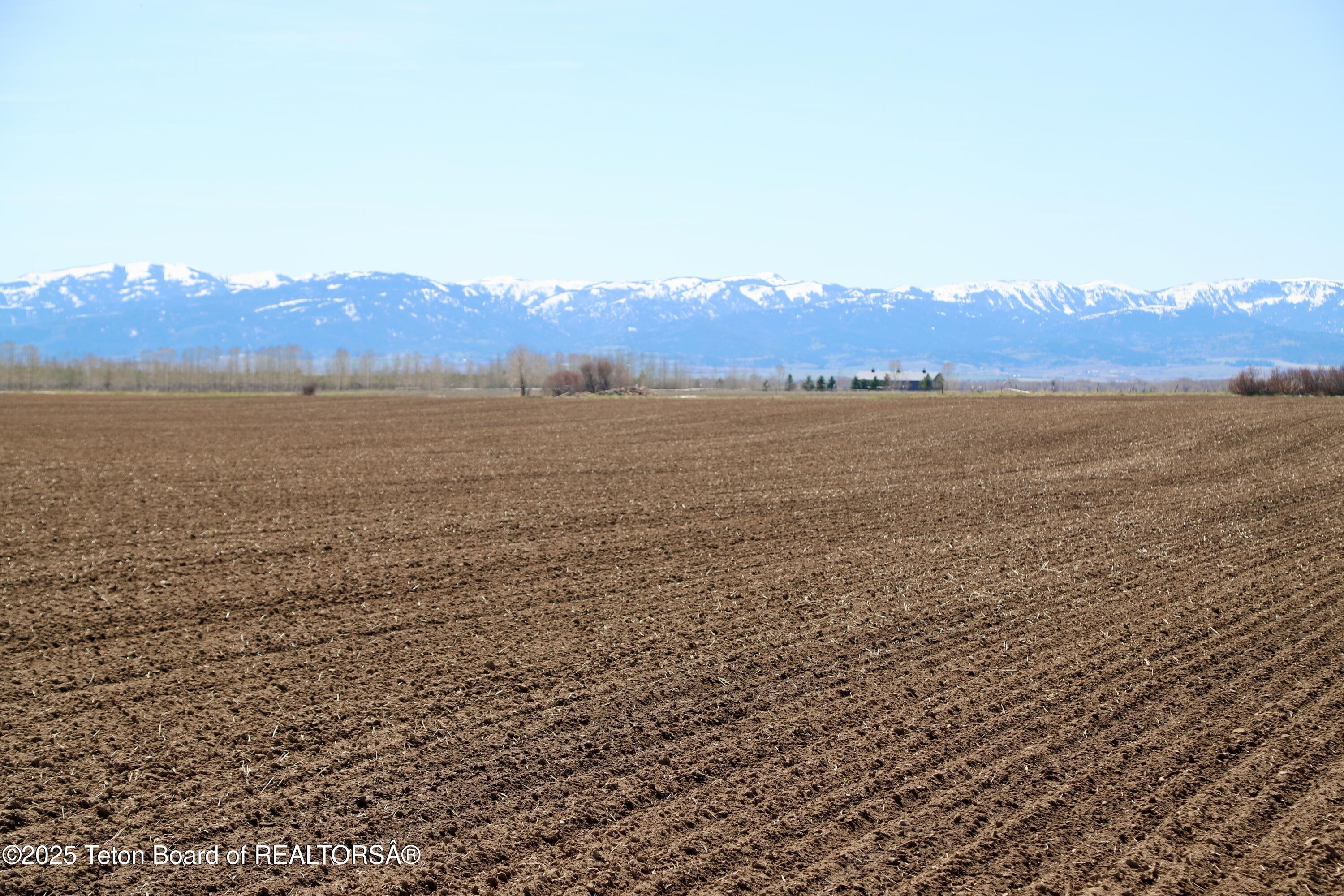 Tbd South Stateline Road Driggs, ID 83422 - Photo 15 of 32 Moss-7145