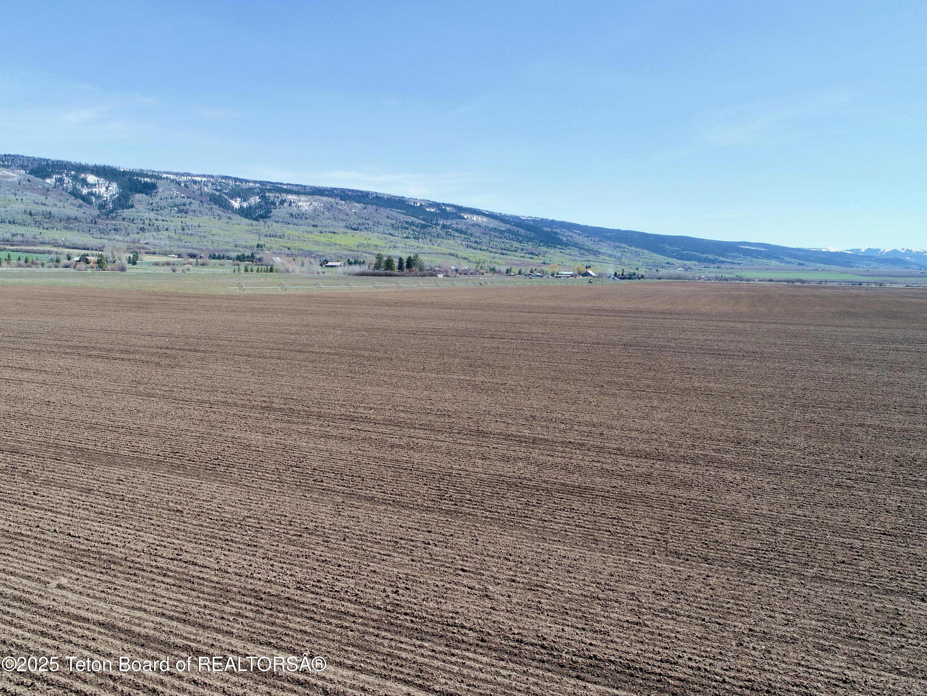 Tbd South Stateline Road Driggs, ID 83422 - Photo 23 of 32 Moss-0024