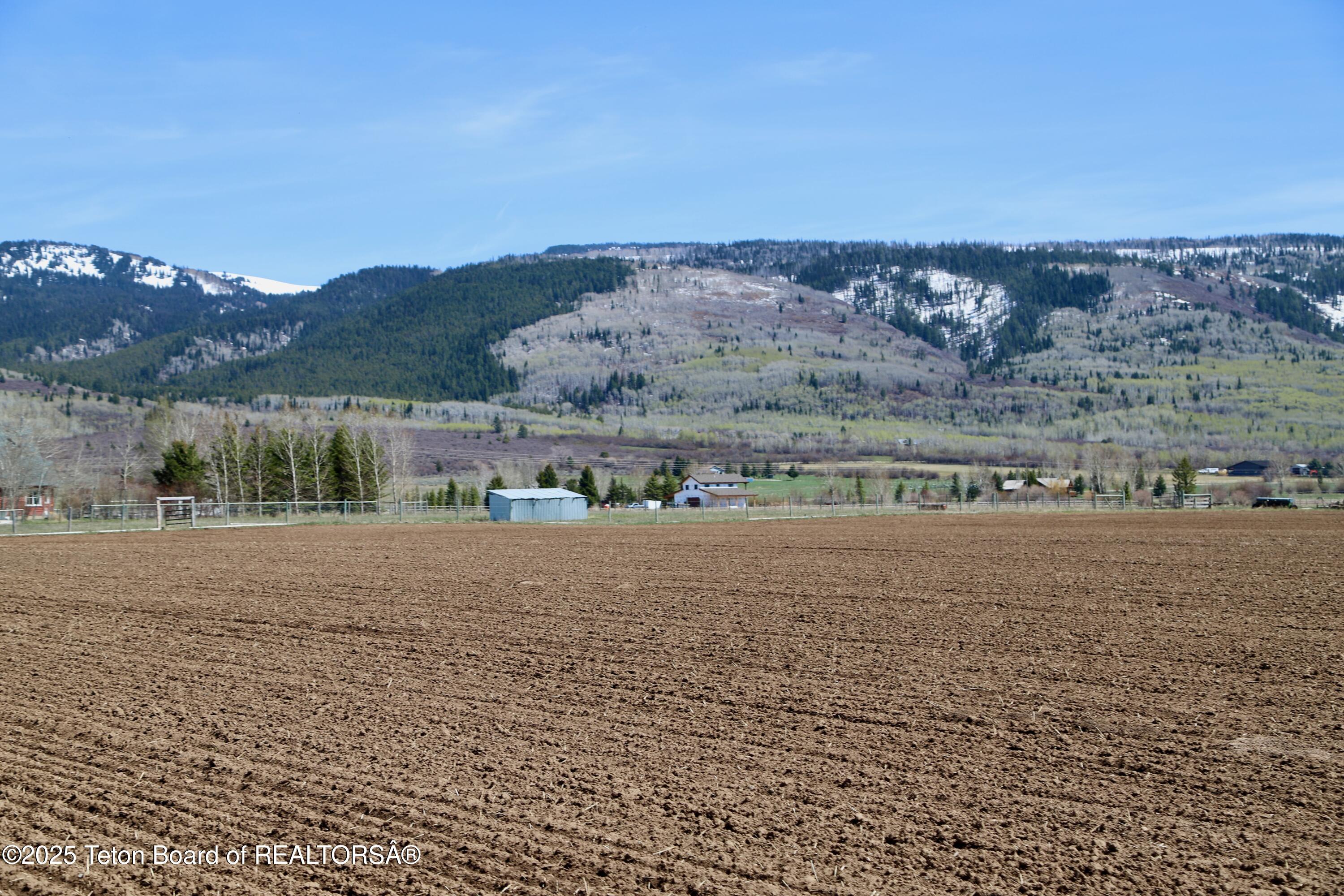 Tbd South Stateline Road Driggs, ID 83422 - Photo 7 of 32 Moss-7134