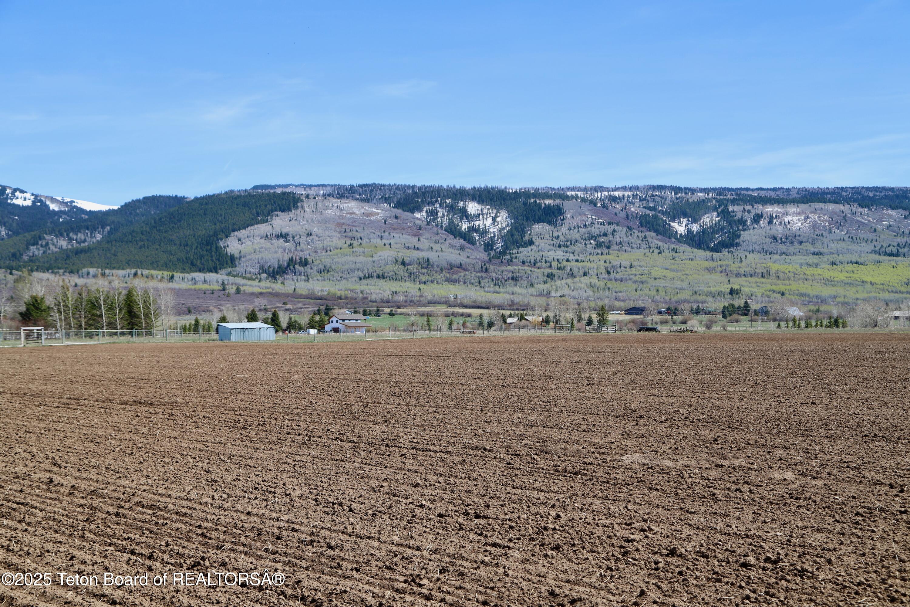 Tbd South Stateline Road Driggs, ID 83422 - Photo 8 of 32 Moss-7135