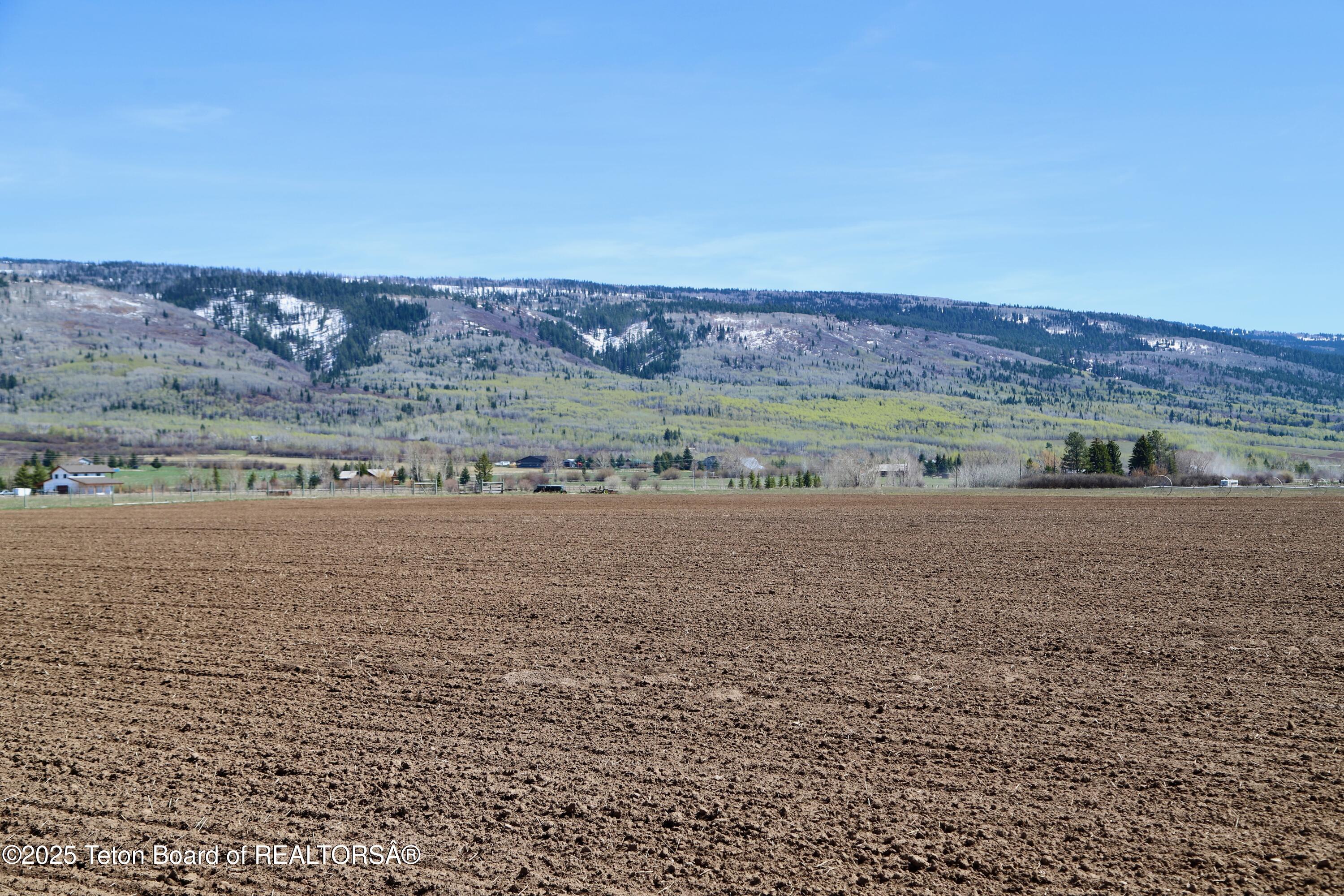 Tbd South Stateline Road Driggs, ID 83422 - Photo 9 of 32 Moss-7136