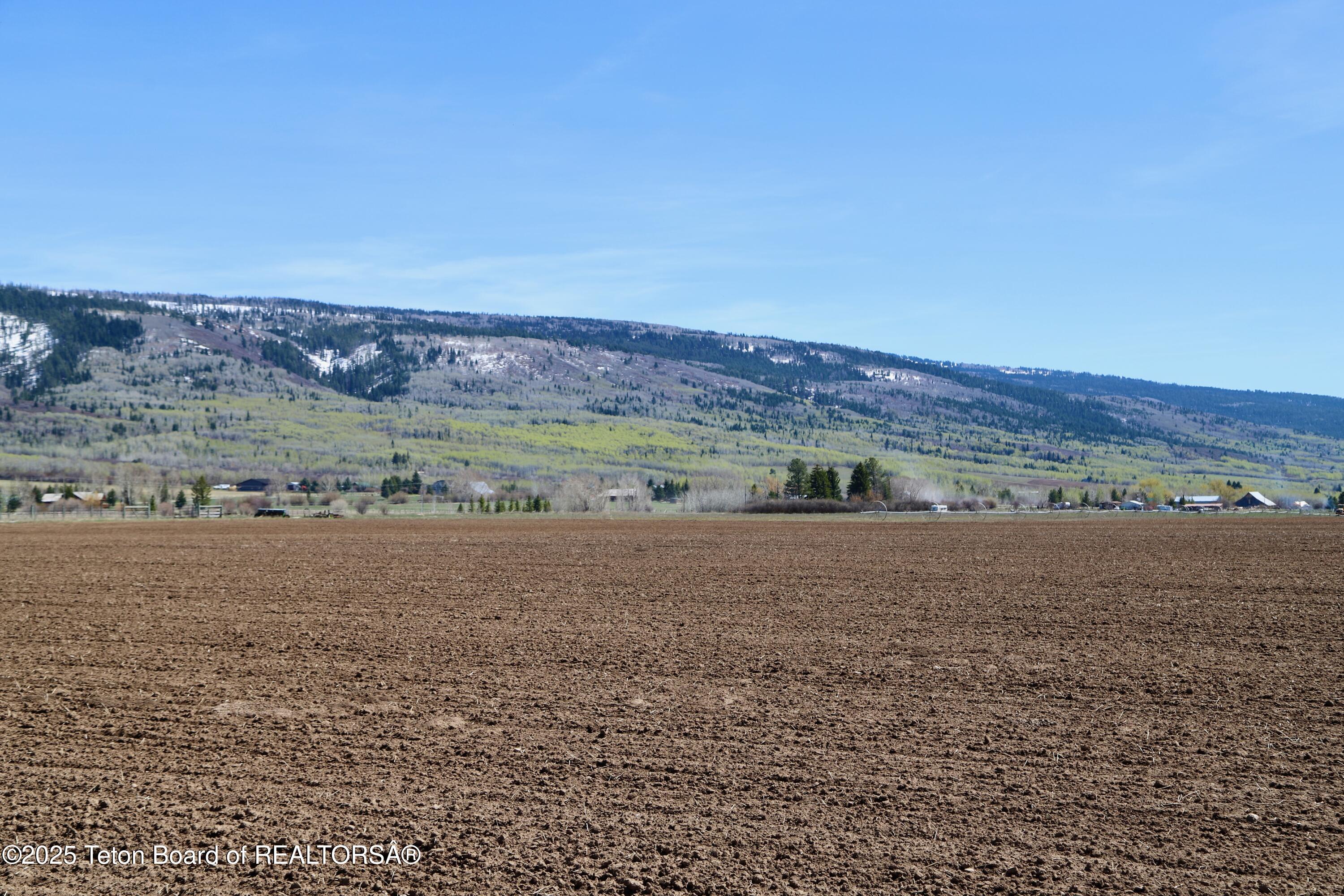 Tbd South Stateline Road Driggs, ID 83422 - Photo 10 of 32 Moss-7137
