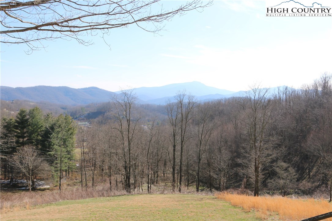 690 Lynn Hill Road Boone, NC 28607 - Photo 4 of 40 Gallery Image 4