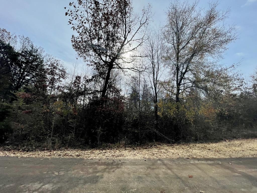 0 Ten Ten Mile Road Ten Mile, TN 37880 - Photo 1 of 1 Gallery Image 1