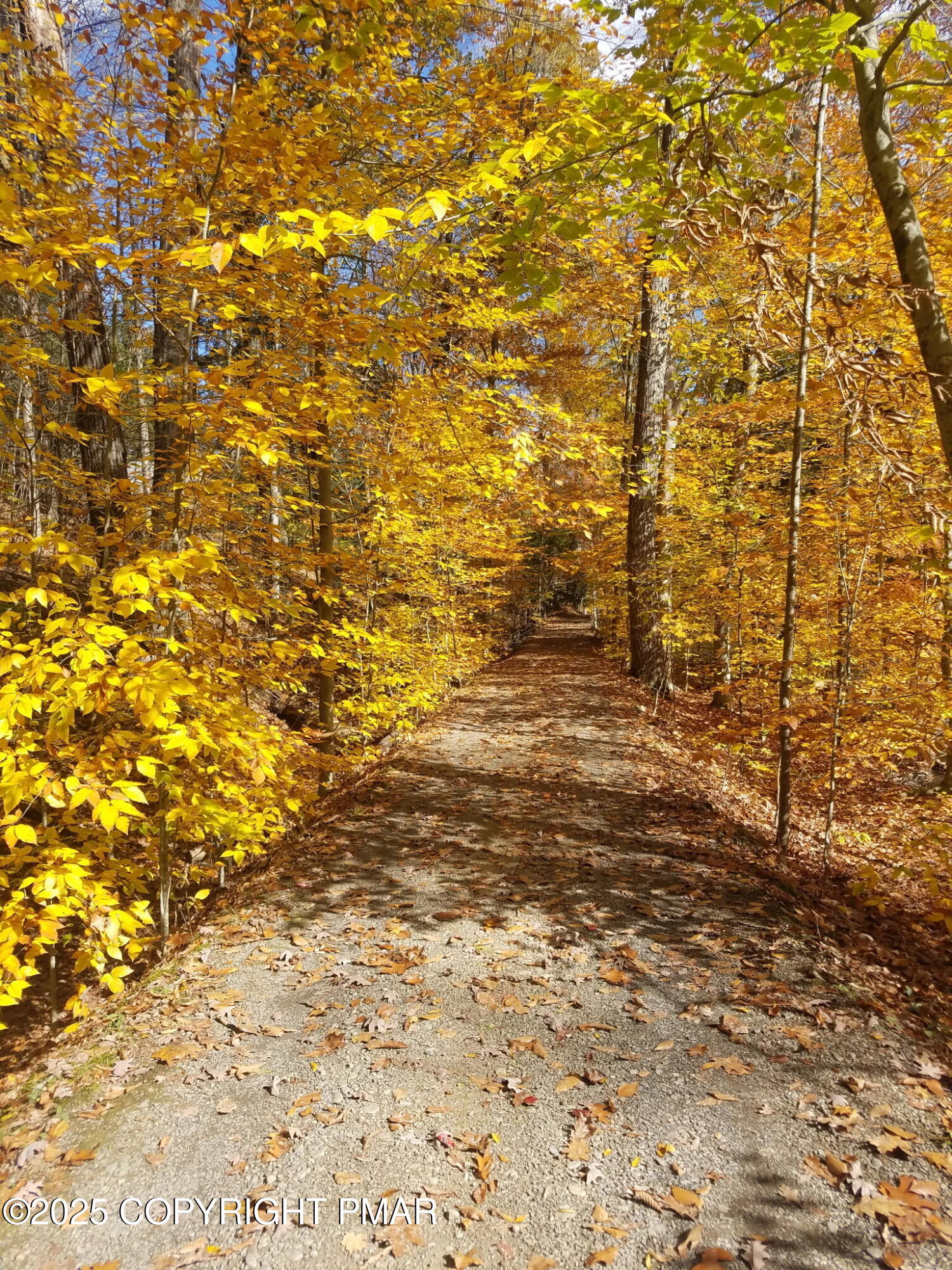 1341 Beaver Valley Road Stroudsburg, PA 18360 - Photo 25 of 86 Golden Path